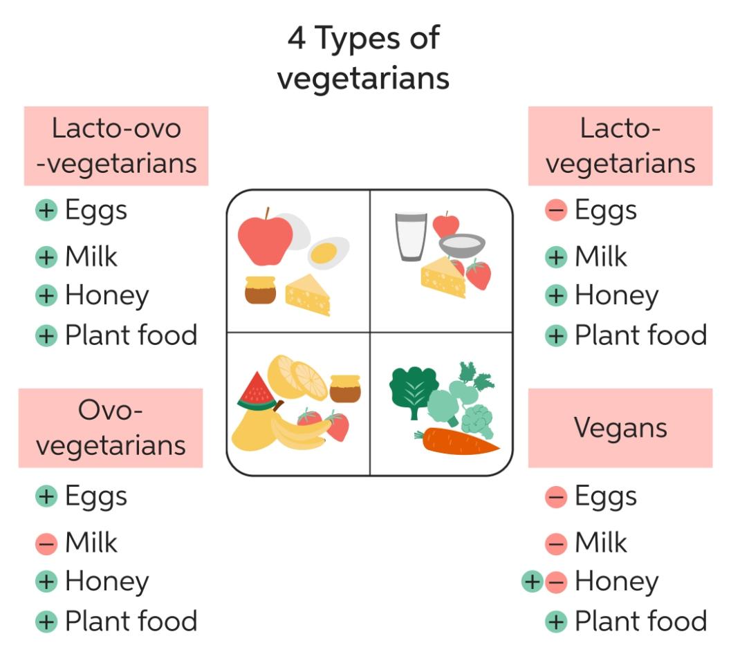 Các chế độ ăn trường